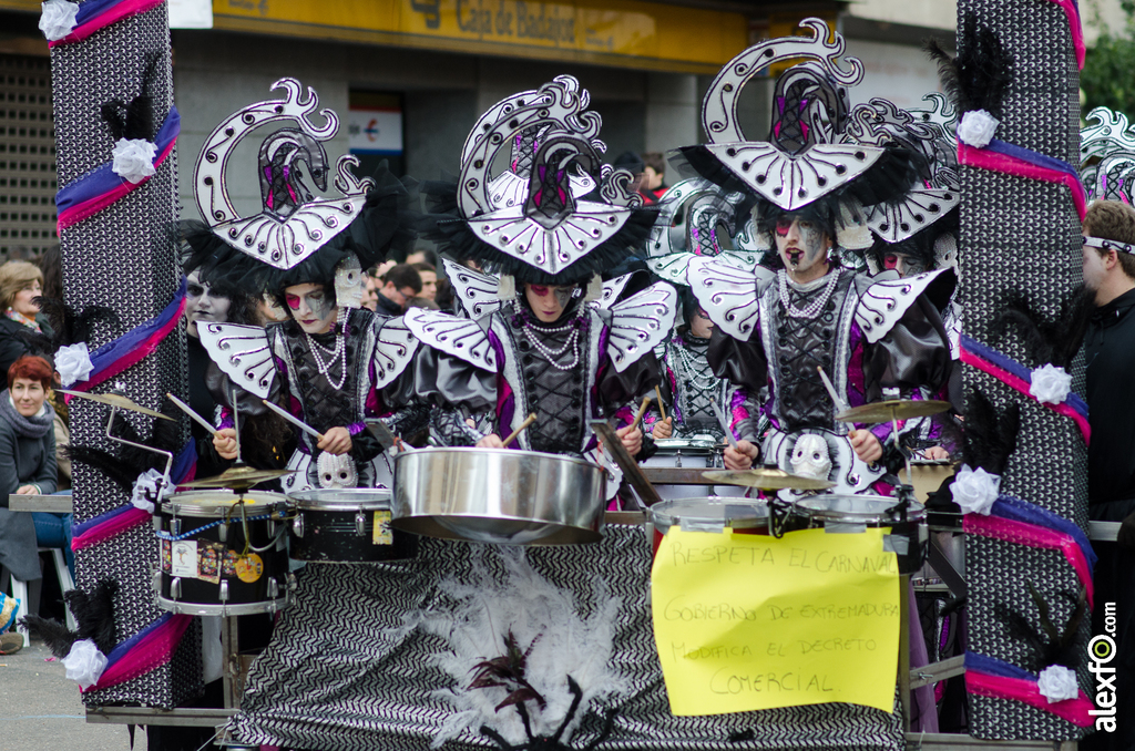 Comparsa Caretos Salvavidas - Desfile de Comparsas - Carnaval Badajoz 2014 DCA_5451 - Comparsa Caretos Salvavidas - Desfile de Comparsas - Carnaval Badajoz 2014