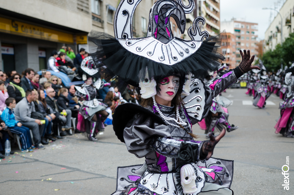 Comparsa Caretos Salvavidas - Desfile de Comparsas - Carnaval Badajoz 2014 DCA_5421 - Comparsa Caretos Salvavidas - Desfile de Comparsas - Carnaval Badajoz 2014