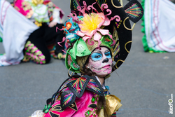 Comparsa las monjas desfile de comparsas carnaval badajoz 2014 dca 5027 comparsa las monjas desfile  dam preview