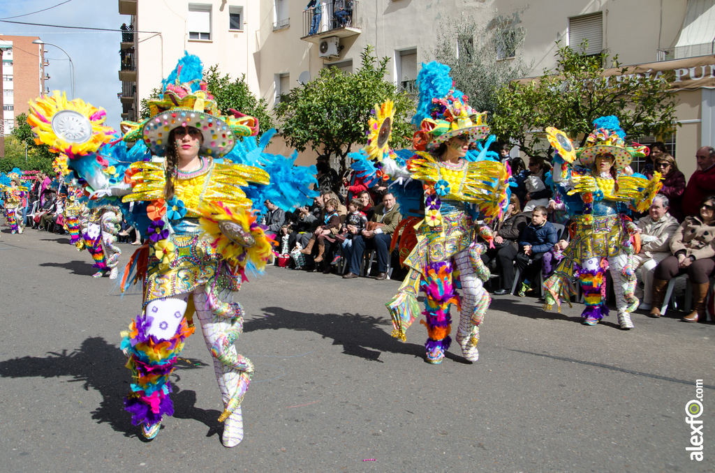 Comparsa Los Soletes - Desfile de Comparsas - Carnaval Badajoz 2014 DCA_4921 - Comparsa Los Soletes - Desfile de Comparsas - Carnaval Badajoz 2014