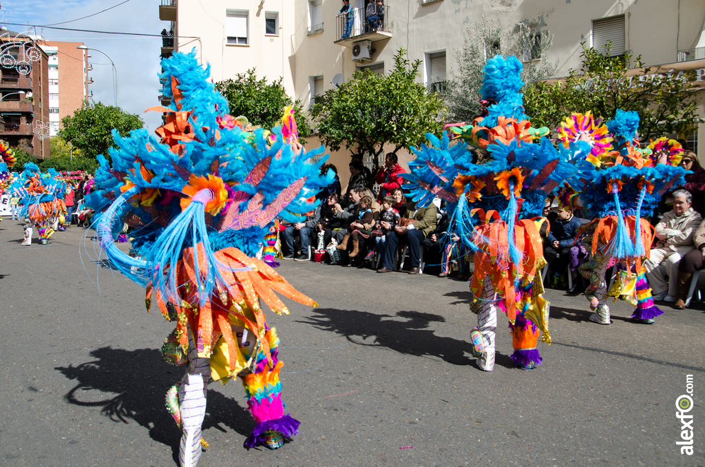 Comparsa Los Soletes - Desfile de Comparsas - Carnaval Badajoz 2014 DCA_4918 - Comparsa Los Soletes - Desfile de Comparsas - Carnaval Badajoz 2014