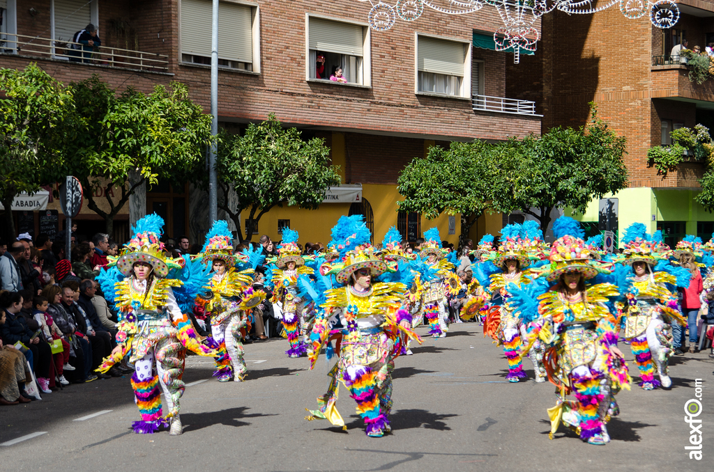 Comparsa Los Soletes - Desfile de Comparsas - Carnaval Badajoz 2014 DCA_4908 - Comparsa Los Soletes - Desfile de Comparsas - Carnaval Badajoz 2014