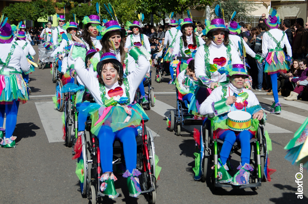 Comparsa Colorido sobre ruedas - Desfile de Comparsas - Carnaval Badajoz 2014 DCA_4884 - Comparsa Colorido sobre ruedas - Desfile de Comparsas - Carnaval Badajoz 2014