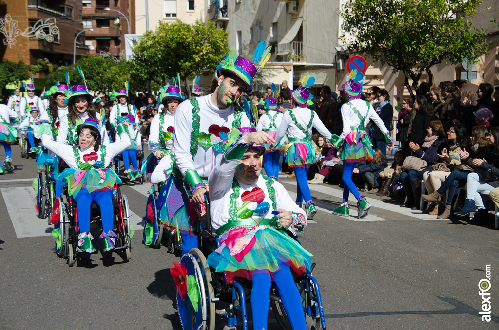 Comparsa Colorido sobre ruedas - Desfile de Comparsas - Carnaval Badajoz 2014 DCA_4883 - Comparsa Colorido sobre ruedas - Desfile de Comparsas - Carnaval Badajoz 2014