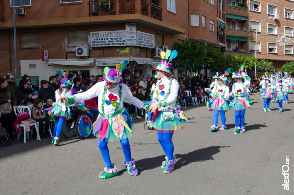 Comparsa Colorido sobre ruedas - Desfile de Comparsas - Carnaval Badajoz 2014 DCA_4868 - Comparsa Colorido sobre ruedas - Desfile de Comparsas - Carnaval Badajoz 2014