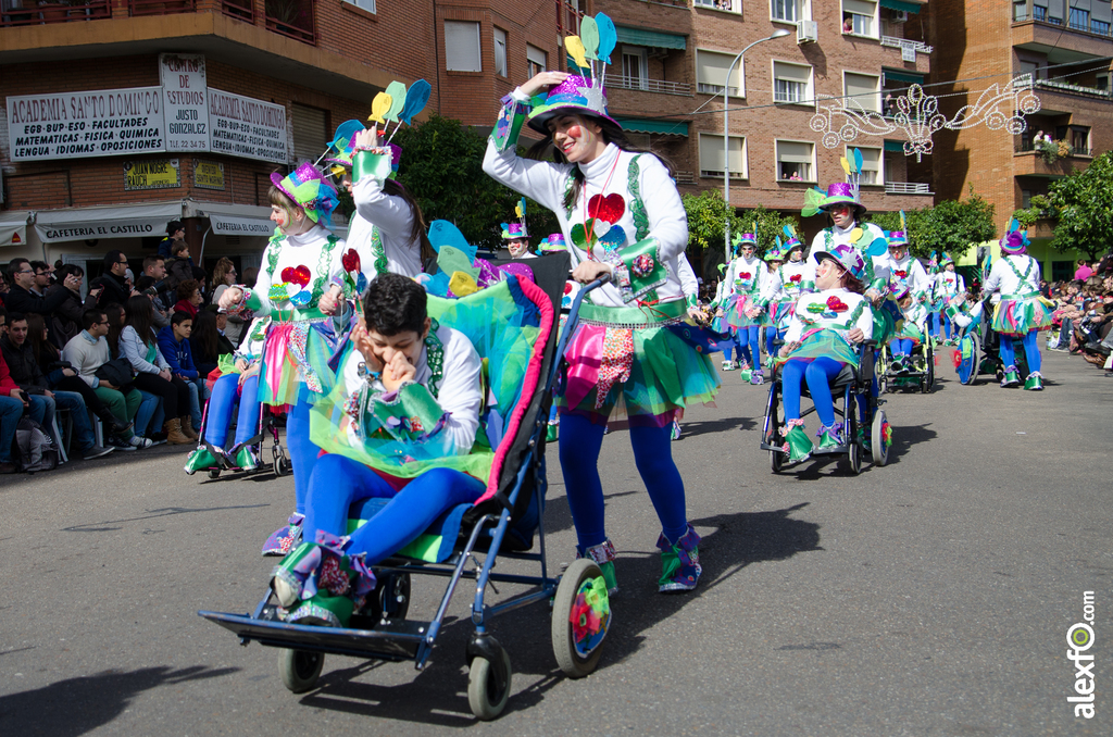 Comparsa Colorido sobre ruedas - Desfile de Comparsas - Carnaval Badajoz 2014 DCA_4870 - Comparsa Colorido sobre ruedas - Desfile de Comparsas - Carnaval Badajoz 2014