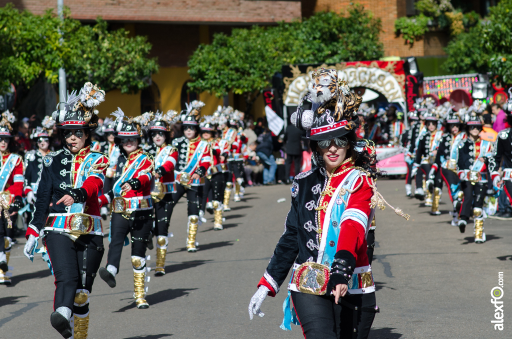 Comparsa Cambalada - Desfile de Comparsas - Carnaval Badajoz 2014 DCA_4810 - Comparsa Cambalada - Desfile de Comparsas - Carnaval Badajoz 2014