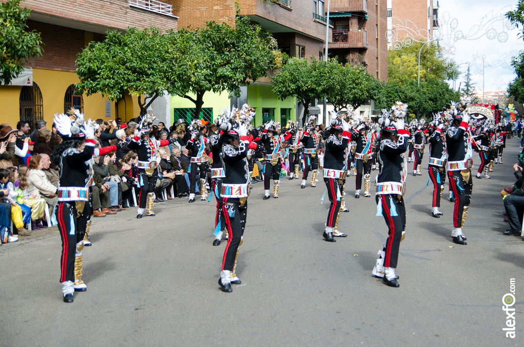 Comparsa Cambalada - Desfile de Comparsas - Carnaval Badajoz 2014 DCA_4790 - Comparsa Cambalada - Desfile de Comparsas - Carnaval Badajoz 2014