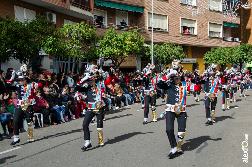 Comparsa Cambalada - Desfile de Comparsas - Carnaval Badajoz 2014 DCA_4799 - Comparsa Cambalada - Desfile de Comparsas - Carnaval Badajoz 2014