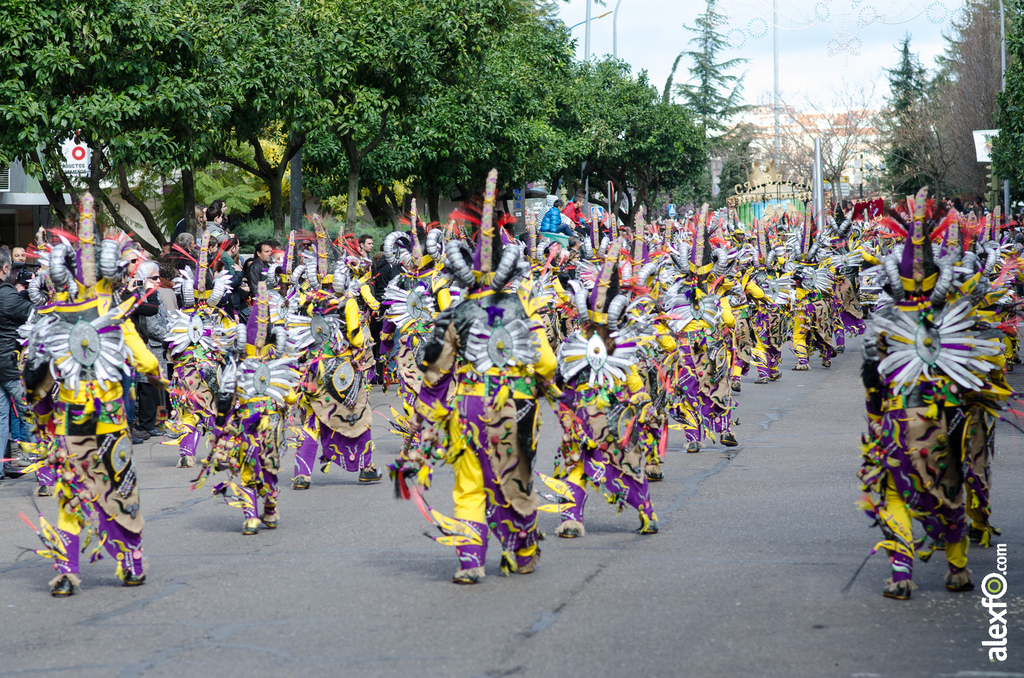 Comparsa Donde vamos la liamos - Desfile de comparsas - Carnaval de Badajoz 2014 DCA_4738 - Comparsa Donde vamos la liamos - Desfile de comparsas - Carnaval de Badajoz 2014