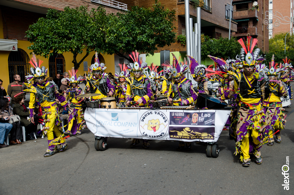 Comparsa Donde vamos la liamos - Desfile de comparsas - Carnaval de Badajoz 2014 DCA_4761 - Comparsa Donde vamos la liamos - Desfile de comparsas - Carnaval de Badajoz 2014