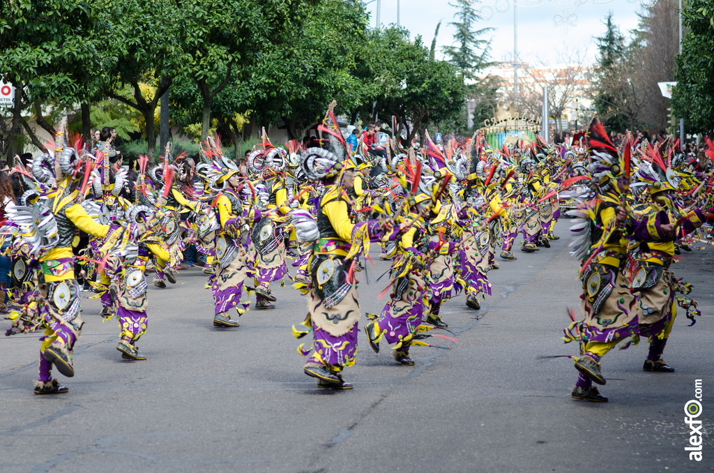 Comparsa Donde vamos la liamos - Desfile de comparsas - Carnaval de Badajoz 2014 DCA_4737 - Comparsa Donde vamos la liamos - Desfile de comparsas - Carnaval de Badajoz 2014