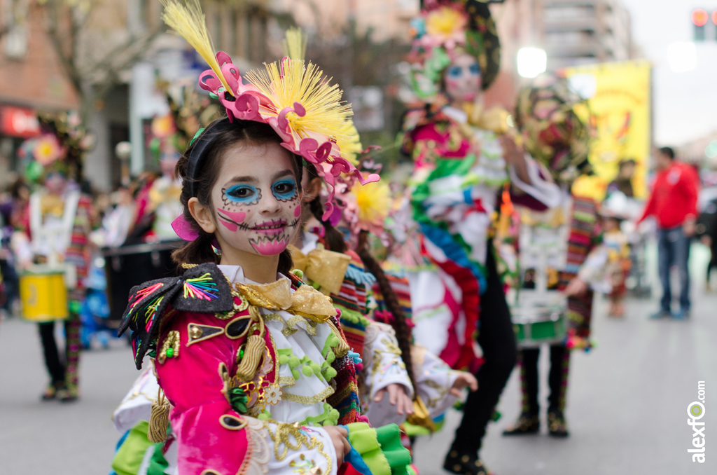 Desfile infantil de Comparsas - Carnaval de Badajoz 2014 DCA_3044 - Desfile infantil de Comparsas - Carnaval de Badajoz 2014