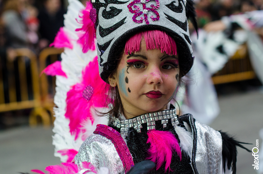 Desfile infantil de Comparsas - Carnaval de Badajoz 2014 DCA_3106 - Desfile infantil de Comparsas - Carnaval de Badajoz 2014