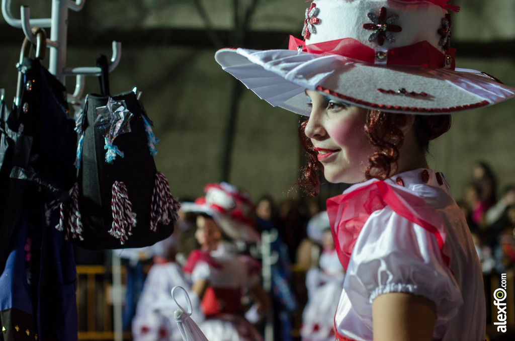 Desfile infantil de Comparsas - Carnaval de Badajoz 2014 DCA_3366 - Desfile infantil de Comparsas - Carnaval de Badajoz 2014
