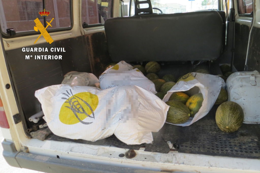 La Guardia Civil sorprende a dos personas cuando sustraían más de 200 kilos de fruta y hortalizas