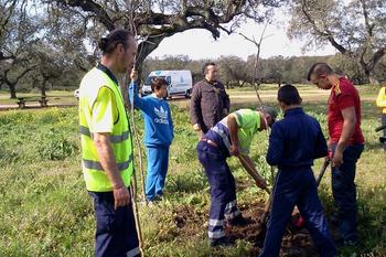 Plantacion de arboles en tres arroyos colaborando con los chicos en la siembra normal 3 2