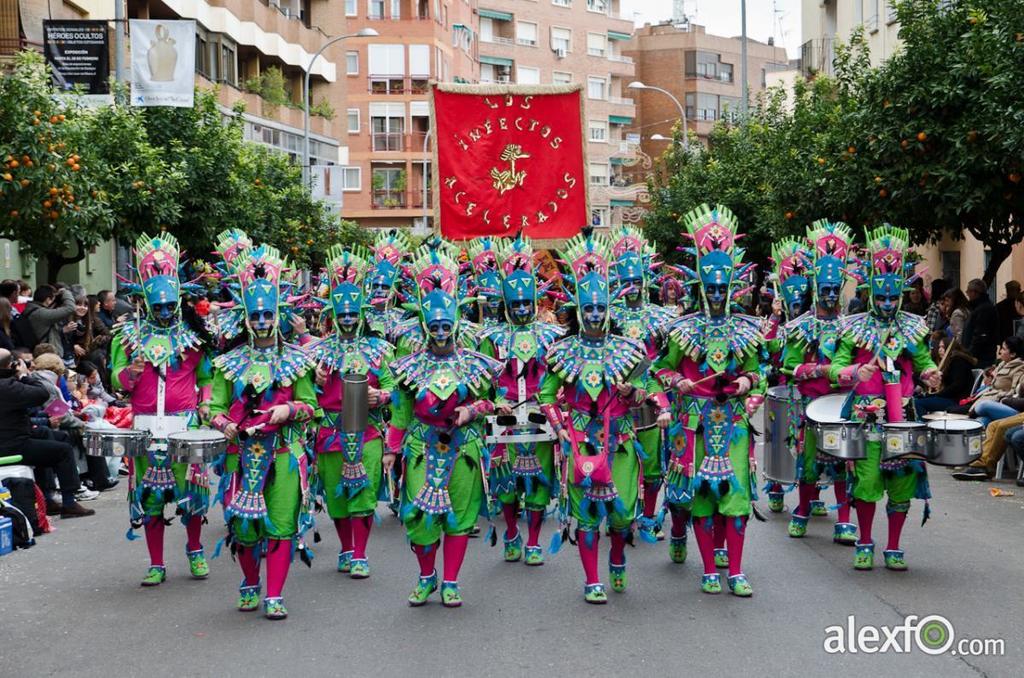 Comparsa Donde Vamos La Liamos Carnaval Badajoz 2013 27749_052f