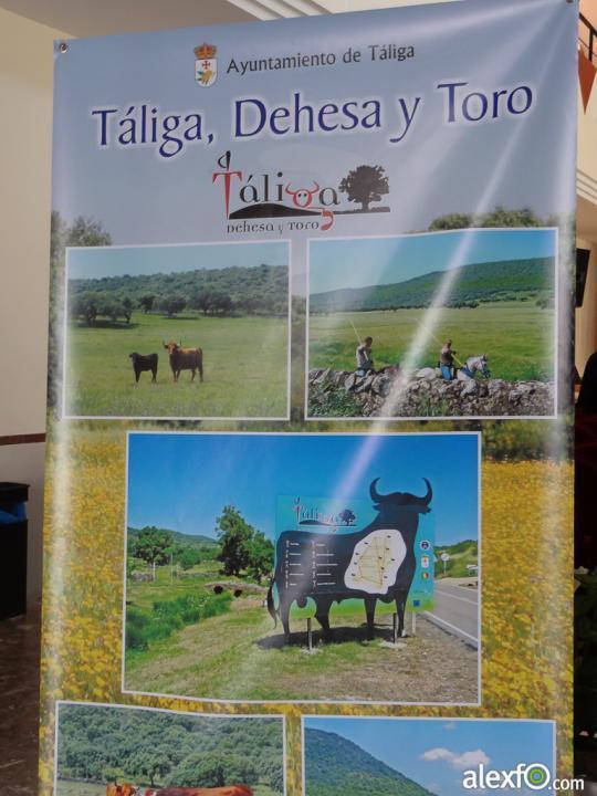 Entorno Alqueva Turismo integral Taliga Turismo Integral en el entorno de Táliga y la dehesa de las tierras del Gran lago Alqueva -turismo extremadura