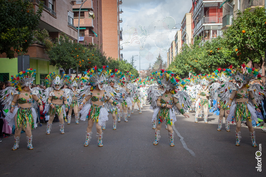 Comparsa Donde Vamos la Liamos desfile Badajoz 2016 (4 de 25)
