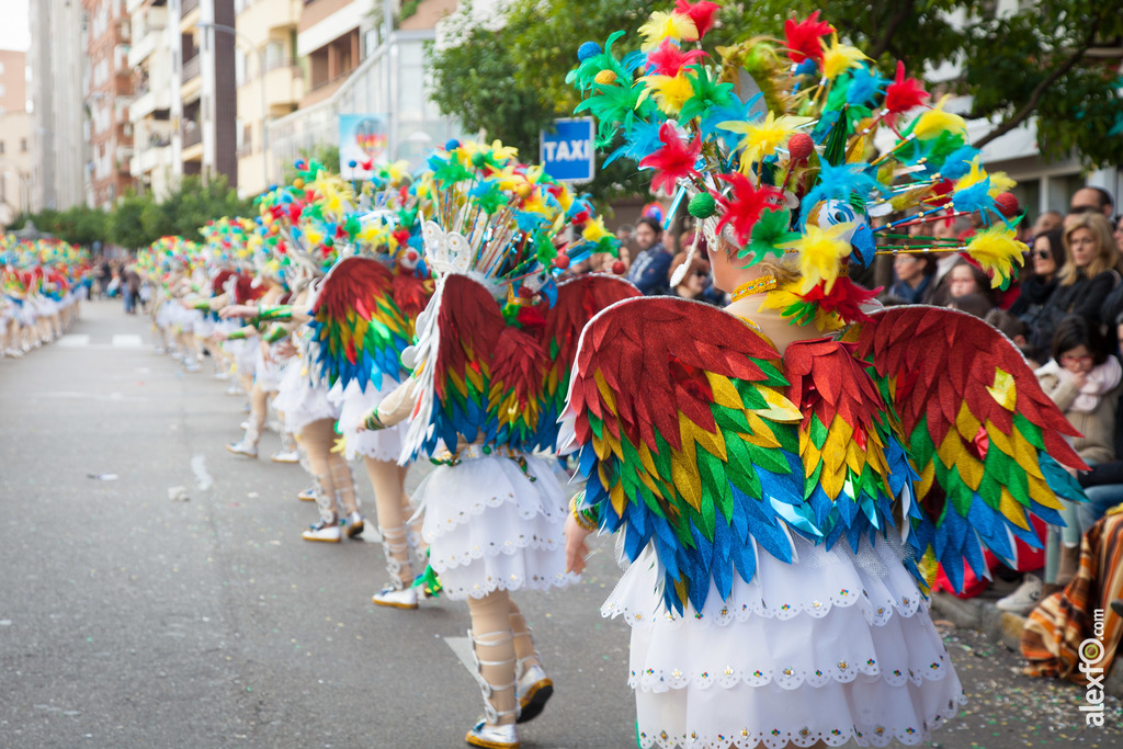 Comparsa Donde Vamos la Liamos desfile Badajoz 2016 (20 de 25)
