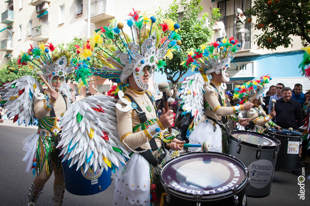 Comparsa Donde Vamos la Liamos desfile Badajoz 2016 (25 de 25)