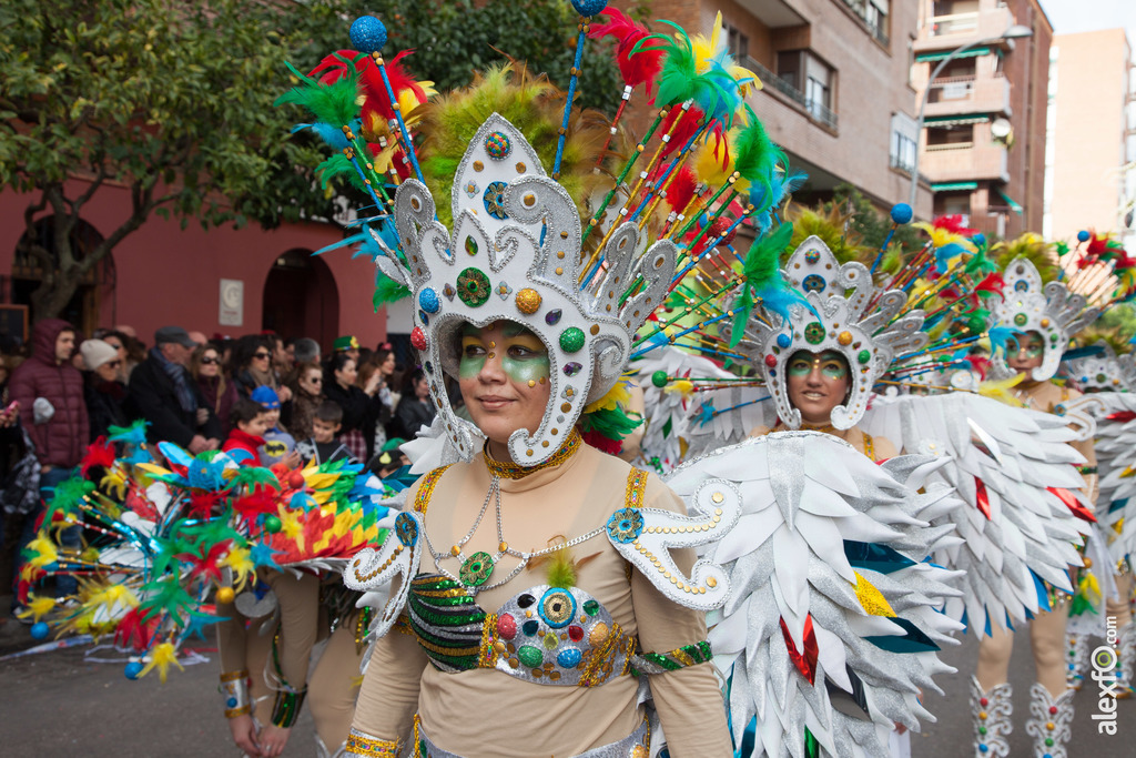 Comparsa Donde Vamos la Liamos desfile Badajoz 2016 (14 de 25)