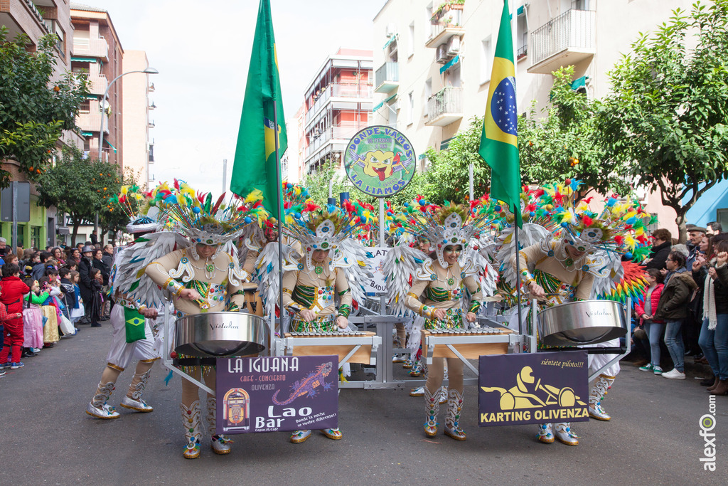 Comparsa Donde Vamos la Liamos desfile Badajoz 2016 (21 de 25)