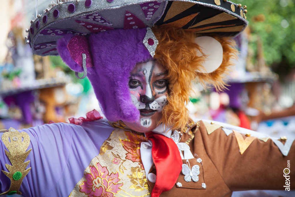 comparsa La Fussion desfile de comparsas carnaval de Badajoz 9