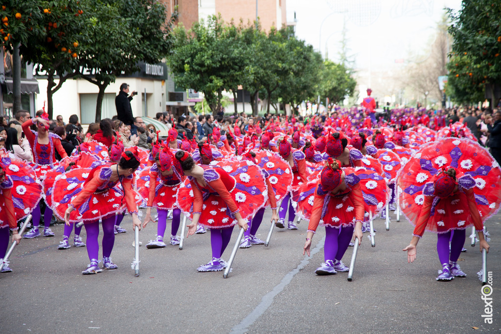 comparsa La Kochera desfile de comparsas carnaval de Badajoz 3