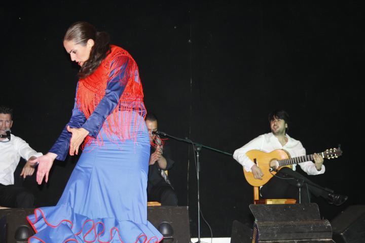 Actuación de Grupo Flamenco 178ad_a398