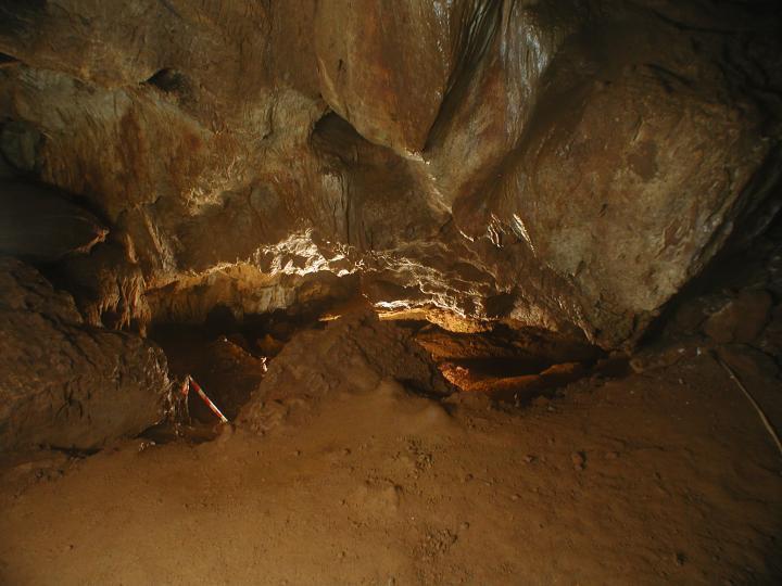 Cueva de Maltravieso EPPEX_MTV_SalaDeLasPinturas