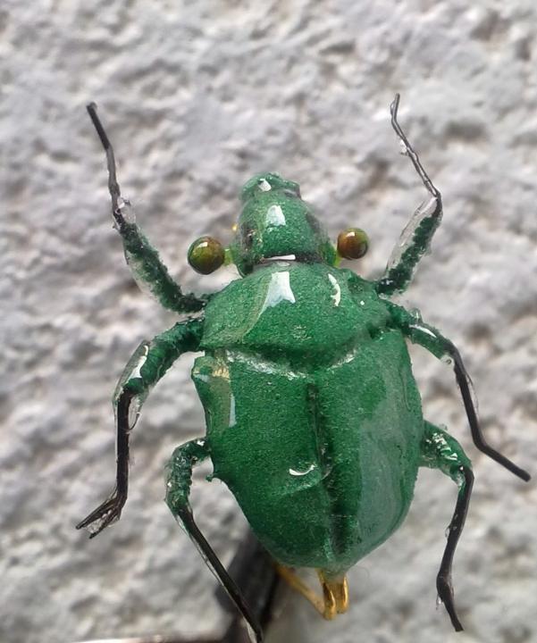 Moscas en imperdibles El escarabajo verde