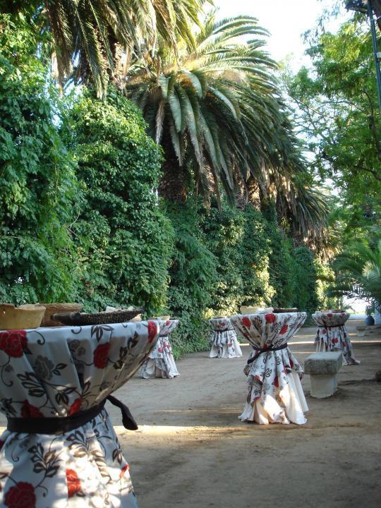 Hacienda Jardín La Vara Buffet Paseo de Palmeras