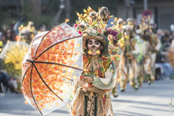 Comparsa el vaiven 2017 desfile de comparsas carnaval badajoz 2017 260 dam preview