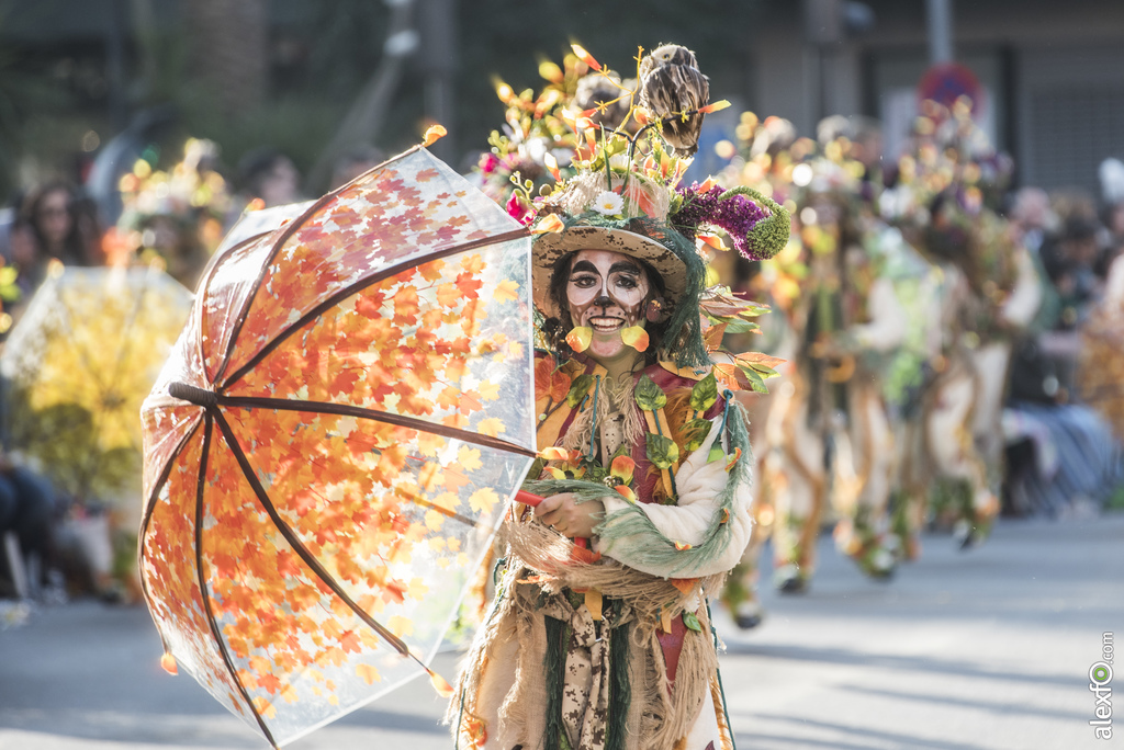 Comparsa El Vaivén 2017   Desfile de Comparsas Carnaval Badajoz 2017 260