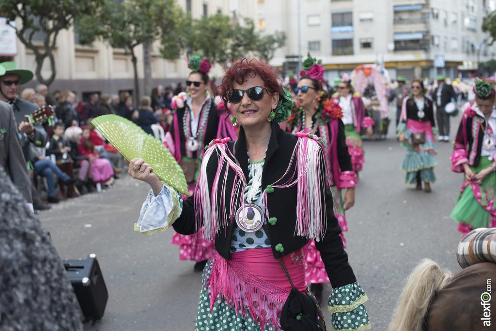 Grupos Menores 2017   Desfile de Comparsas del Carnaval de Badajoz 2017 951