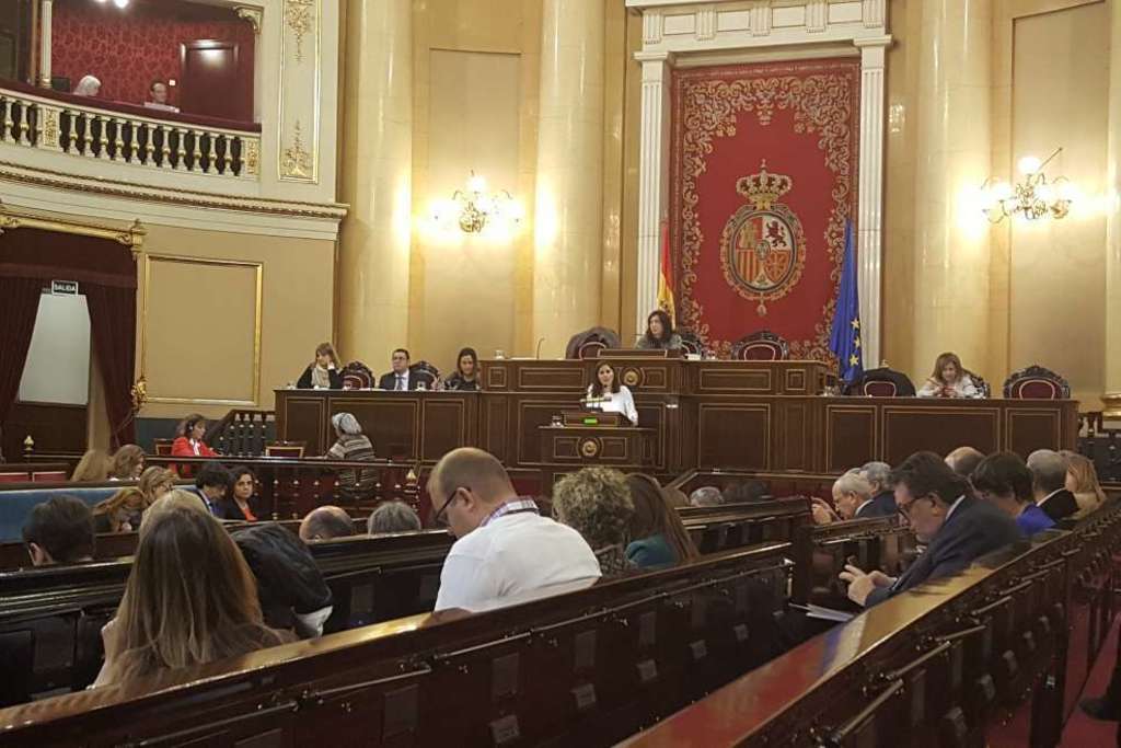 Gil Rosiña insta al Gobierno a la convocatoria urgente de la Conferencia Sectorial de Igualdad mientras terminan los trabajos de la Subcomisión del Congreso