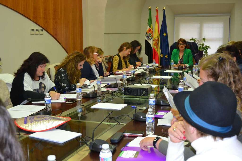 El Consejo Extremeño de Participación de las Mujeres estudia aportaciones para mejorar las políticas públicas de igualdad