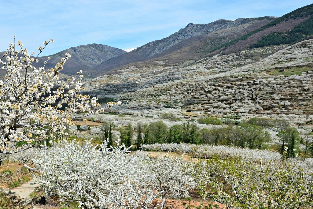 Valle del Jerte: una de las "18 Maravillas Naturales de España" según National Geographic
