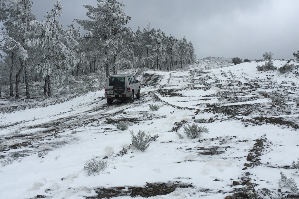 El Centro 112 de Extremadura ha atendido este domingo 20 incidentes por la alerta de nieve