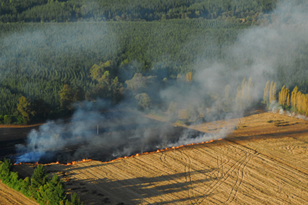 La Junta limita la prohibición de quemas en terreno forestal a un área de influencia de 400 metros