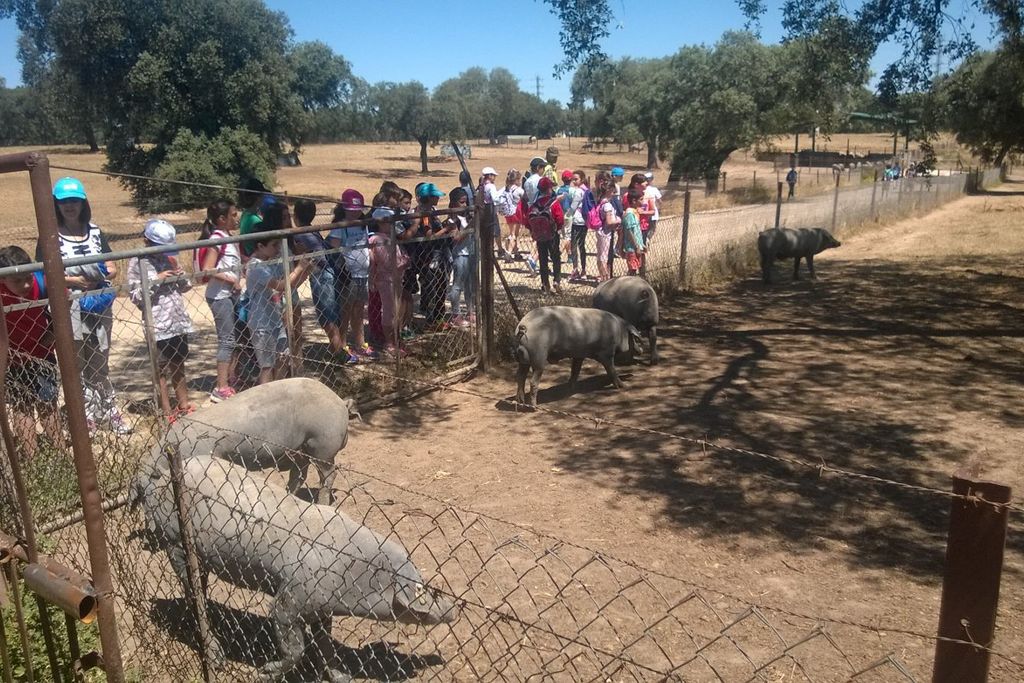 La Diputación de Badajoz sigue mostrando las tradiciones agroganaderas a los escolares de la provincia