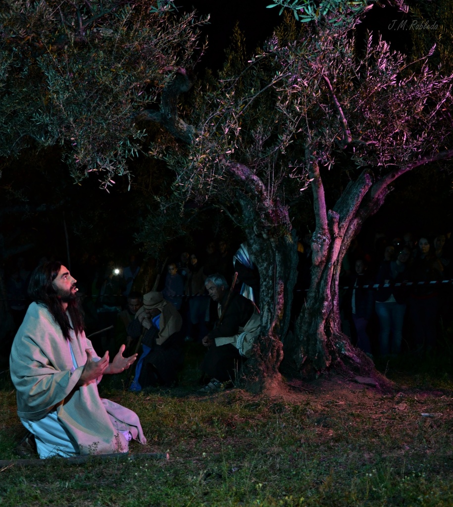 Orando en el monte de los Olivos