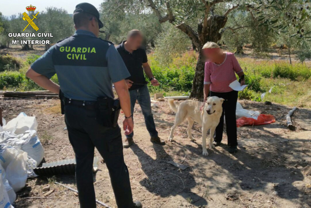 La Guardia Civil detiene a cinco personas implicadas en una trama de robos de animales domésticos