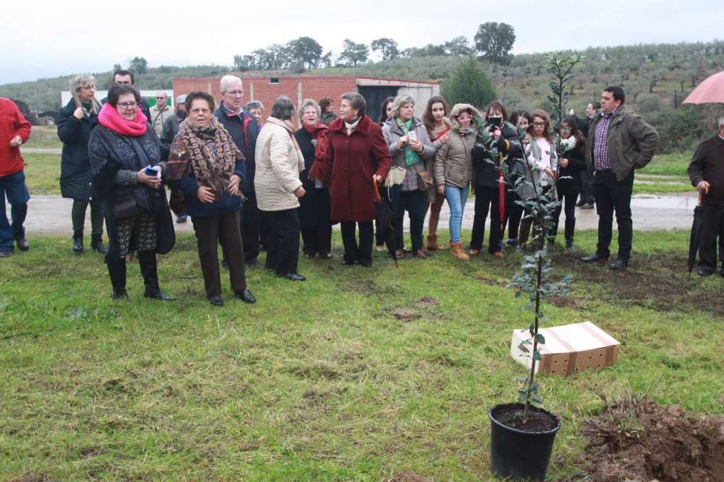 La Junta de Extremadura declara seis nuevos Bienes de Interés Cultural