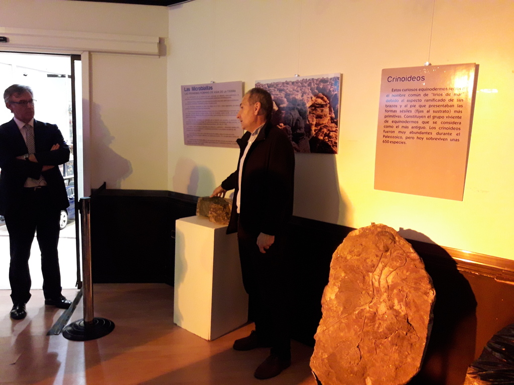 Miguel Vallecillo Teodoro ofreció a los presentes una visita guiada a la #exposición "#Fósiles de la Colección de Historia Natural Soto-Pérez Cortés"
