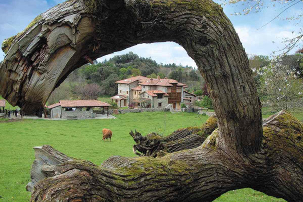 El turismo rural alcanza el 50% de ocupación en agosto en Extremadura