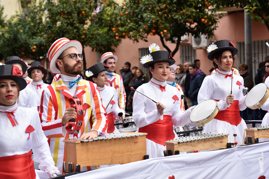 Comparsa Colorido sobre Ruedas (ASPACEBA) - Desfile de Comparsas Carnaval de Badajoz 2018