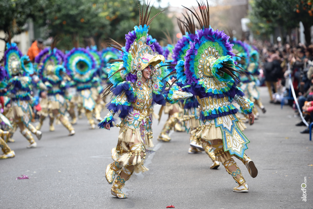 Comparsa Caretos Salvavidas - Desfile de Comparsas Carnaval de Badajoz 2018